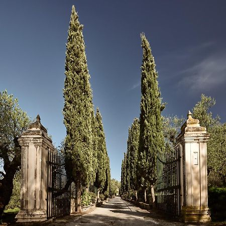 Almeira 4Acre Estate, For Unparalleled Seclusion, By Thinkvilla Zakynthos Exterior foto